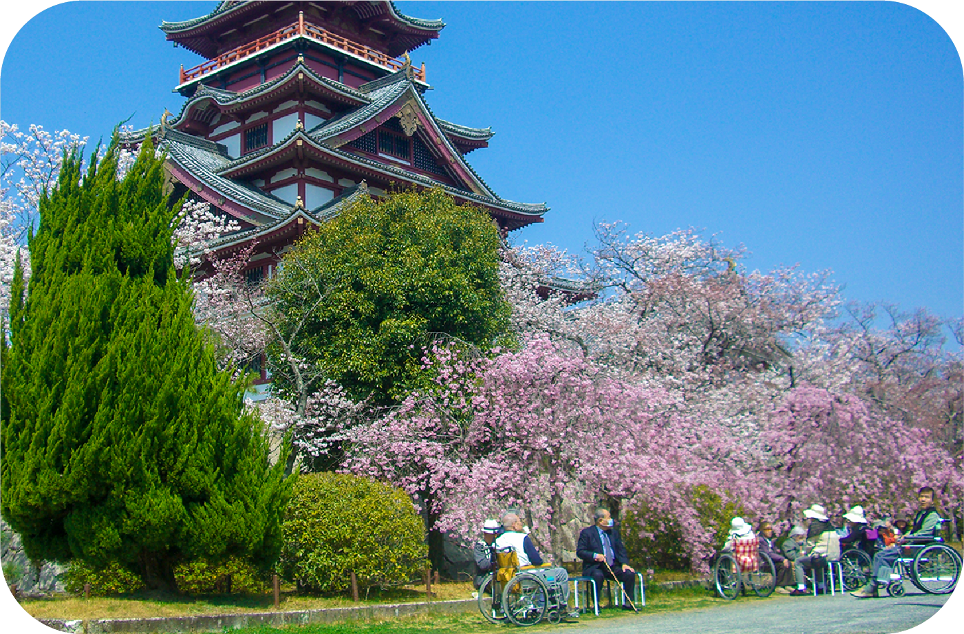 4月　お花見
