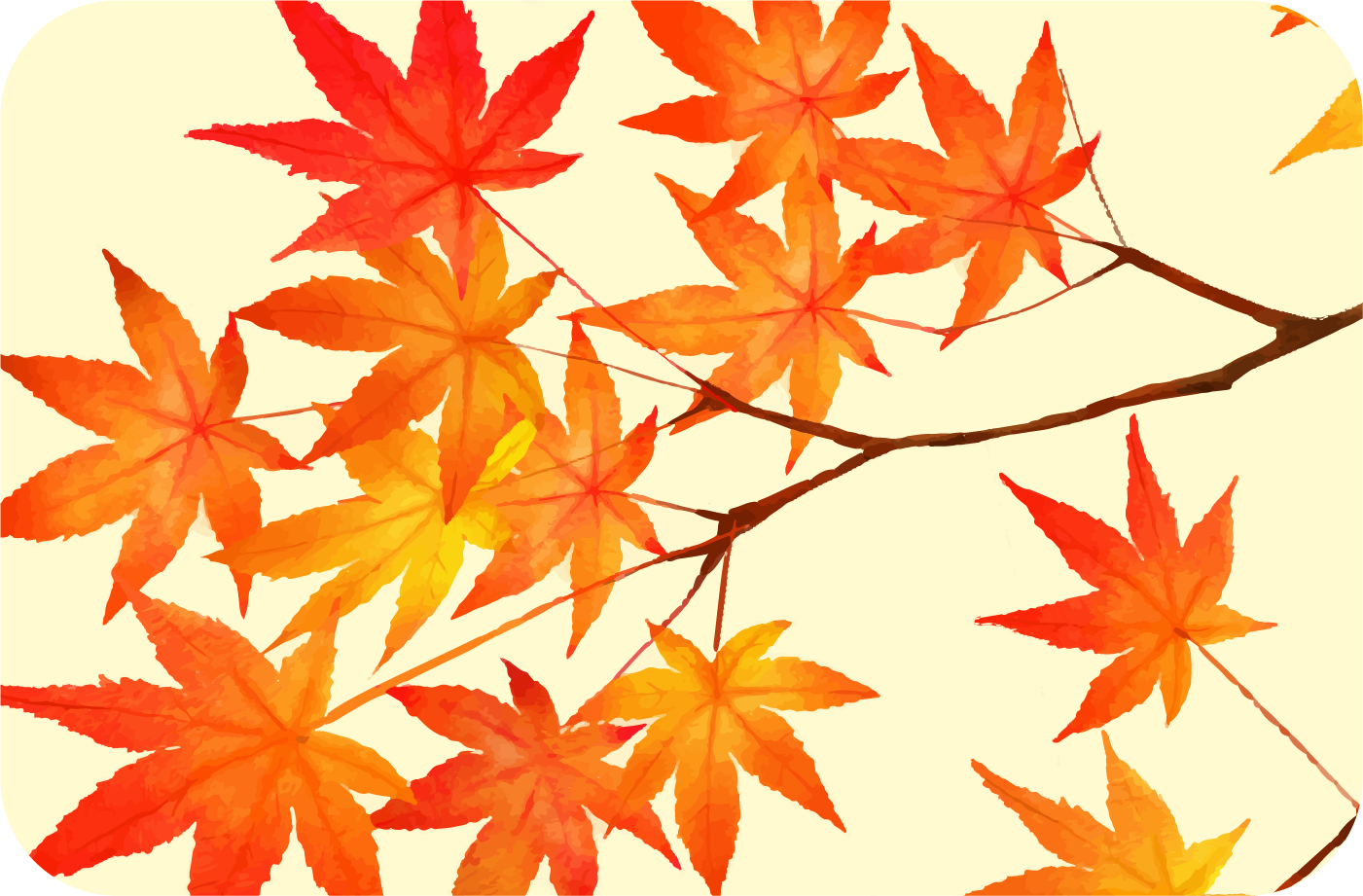11月　もみじ狩り